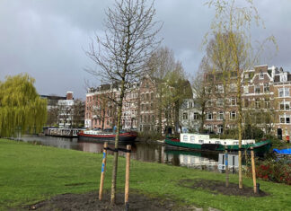 Bomen van Feest aan de Ring nu op plek in de stad