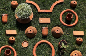Tussen heg en tuin: zussen Van Staaveren onderzoeken de maakbaarheid van natuur