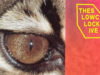 The Slow Clock terug met z’n vijfde album