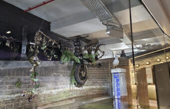 Na vijf jaar stroomt er weer leven door het Artis-Aquarium