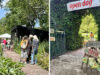 Ontdek de bloementuin van Darwin