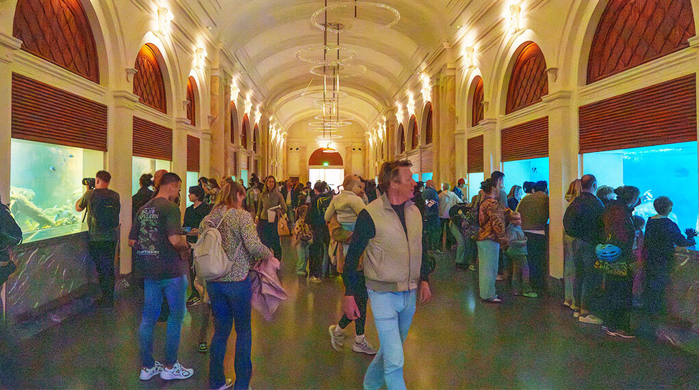 Opening_Artis_Aguarium_050a