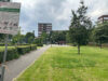 Steekpartij Ed Pelsterpark versterkt gevoel van onveiligheid onder bewoners