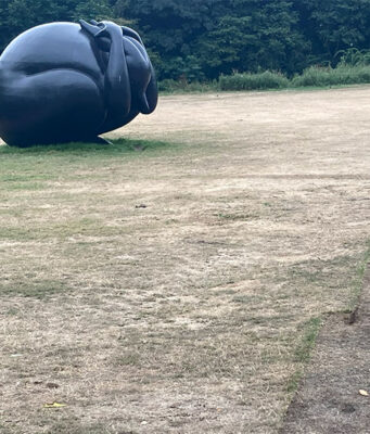 No Art festival laat zijn sporen na in Flevopark
