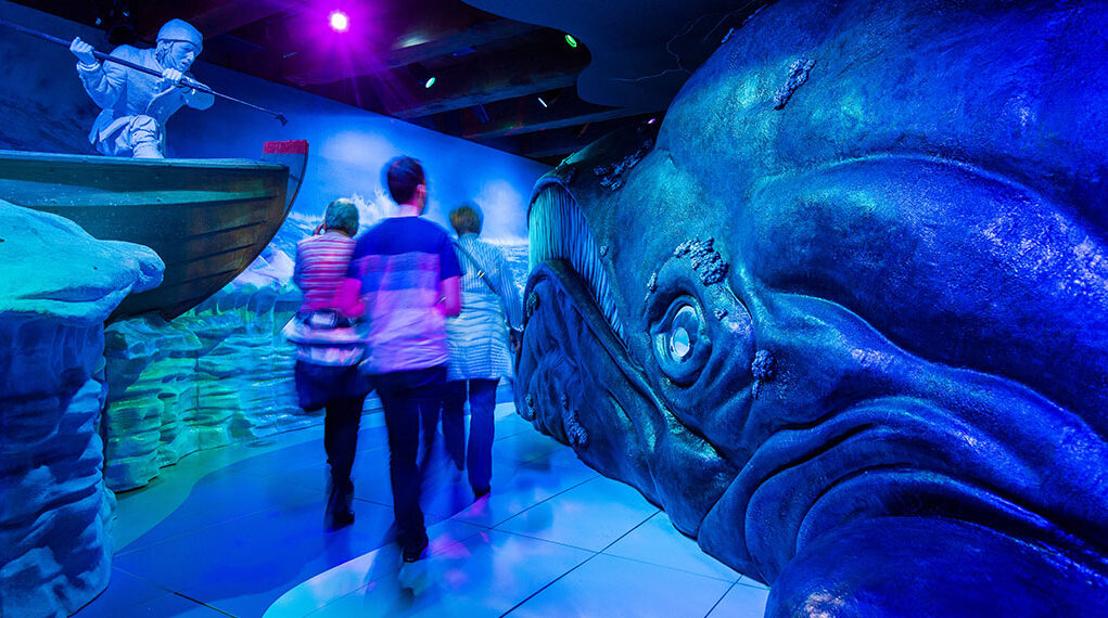 Het Scheepvaartmuseum Het verhaal van de walvis xl