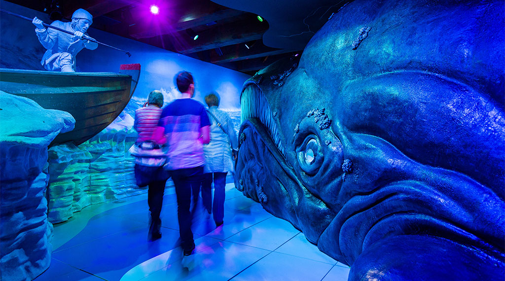 Zomervakantie vol belevenissen in Het Scheepvaartmuseum