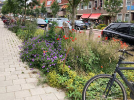 Groener straatbeeld en vernieuwd buurtplein in Middenmeer-Noord