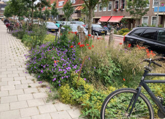 Groener straatbeeld en vernieuwd buurtplein in Middenmeer-Noord