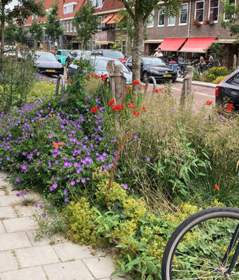 Groener straatbeeld en vernieuwd buurtplein in Middenmeer-Noord