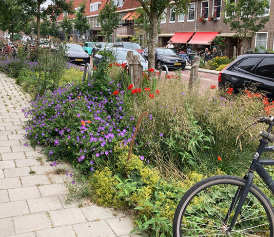 Groener straatbeeld en vernieuwd buurtplein in Middenmeer-Noord