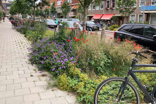 Groener straatbeeld en vernieuwd buurtplein in Middenmeer-Noord