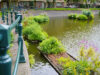 Waterschap maakt nieuwe start met burgerraadpleging