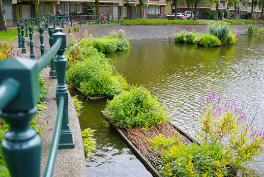 Waterschap maakt nieuwe start met burgerraadpleging