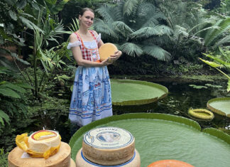 Reuzenwaterlelie in de Hortus gaat voor goud