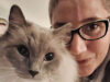 Van kattenvoer tot medicatie: de opkomst van de professionele kattenoppas