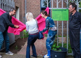 Ruimte voor ontmoeting en rust in de Buurttuin Ambonplein