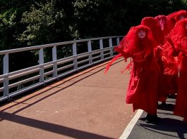 Stille actie Red Rebels voor behoud bosplantsoen bij Utrechtsebrug
