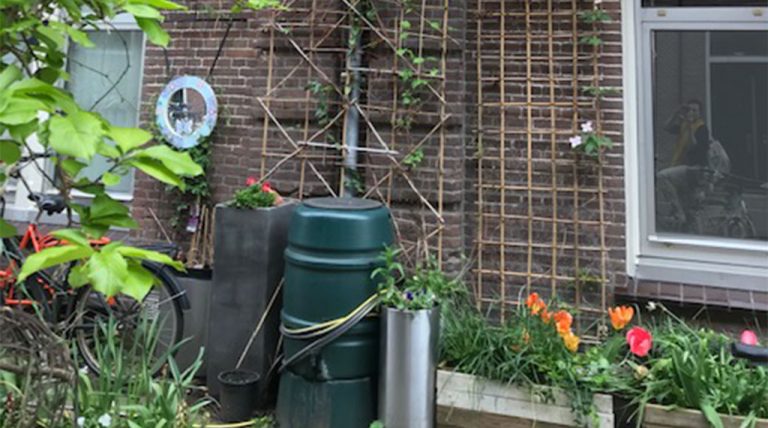 Verbod om overdag te sproeien door aanhoudende droogte