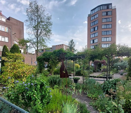 Bijzonder wonen aan het Windroosplein