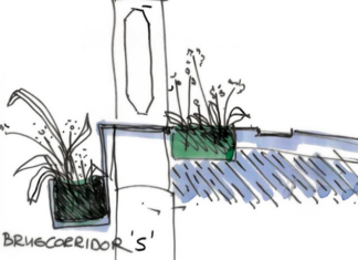 Meer biodiversiteit in Oosterpark