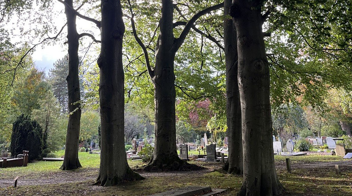 DNO Bomenwandeling xl