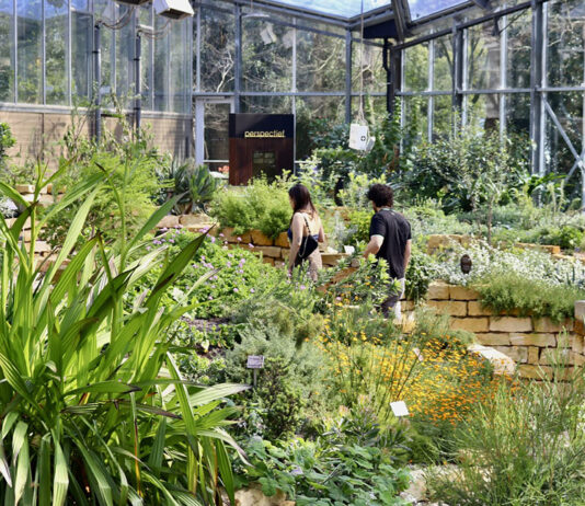 De Hortus laat zien hoe groen zich aanpast aan een veranderend klimaat