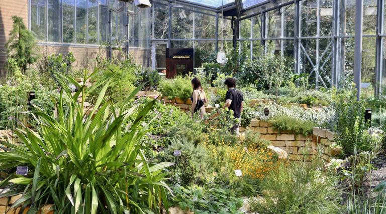 De Hortus laat zien hoe groen zich aanpast aan een veranderend klimaat