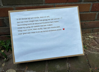 Ook een vliegende rat verdient een hemel Klik op foto voor groter formaat