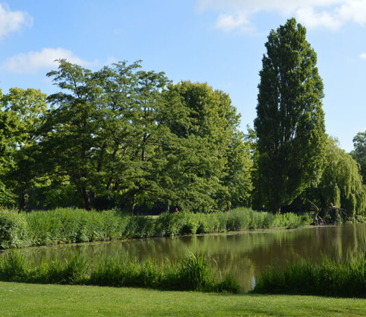 Flevopark viert 95ste verjaardag met buurtfeest