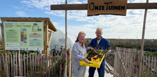 De eerste oogst uit de voedseltuin op het Strandeiland is binnen