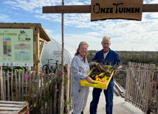 De eerste oogst uit de voedseltuin op het Strandeiland is binnen