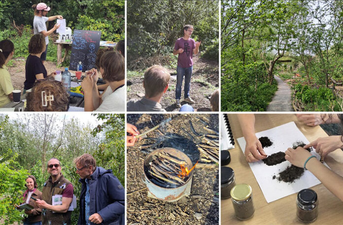 Anna's Tuin en Ruigte Cursus permacultuur