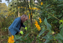 Vrijwilligers aan het werk in natuurspeeltuin Blijdag